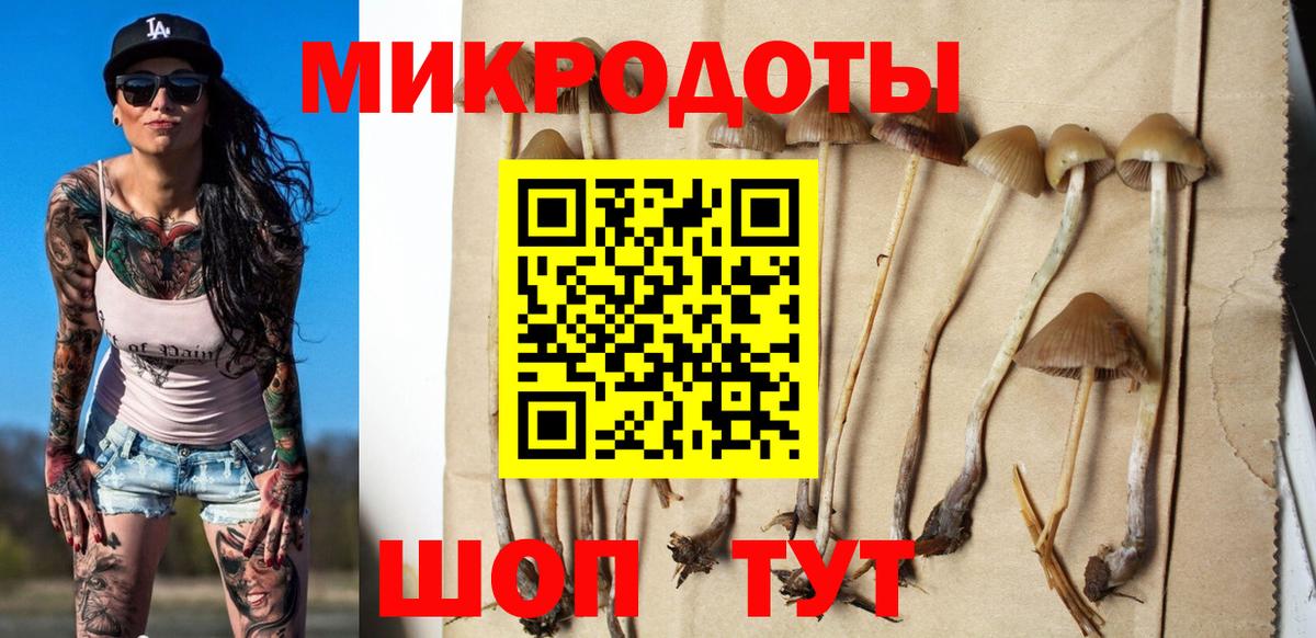 Сокол  Псилоцибиновые грибы Psilocybine cubensis  Вход с VPN 
